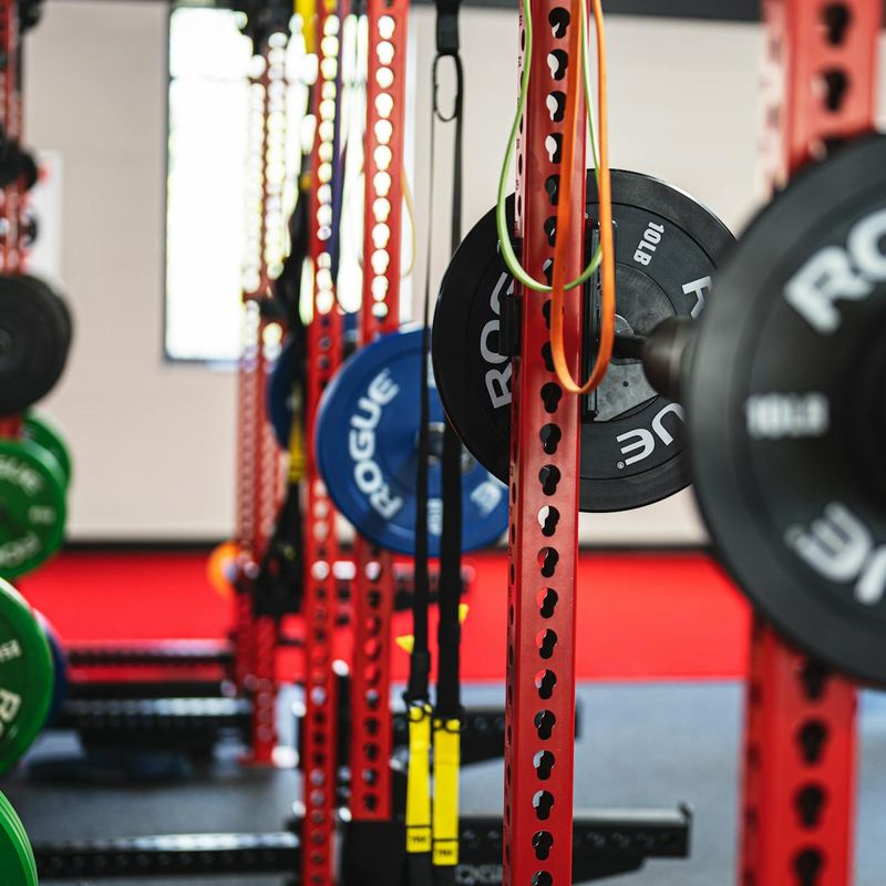 Modern gym interior with professional fitness equipment and weights.